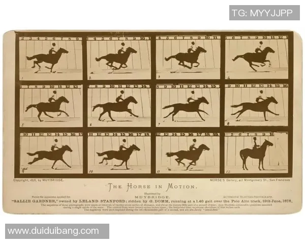 探索马卡顿的魅力与文化传承揭示其在现代生活中的独特价值与影响