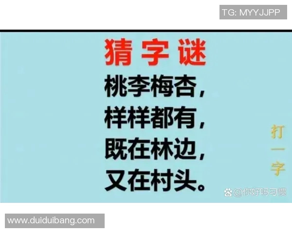 今日三地字谜总汇探秘字谜的奥妙与乐趣分享