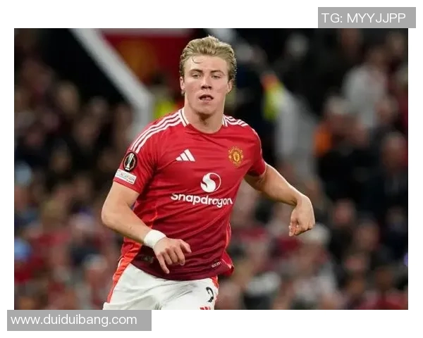 霍伊伦的传奇人生与时代变迁中的文化影响探讨