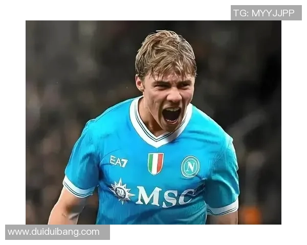 霍伊伦的传奇人生与音乐旅程探索之路